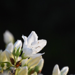 91位のイメージ