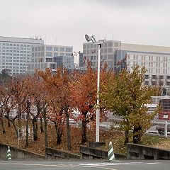 41位のイメージ