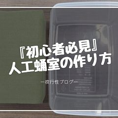 12位のイメージ