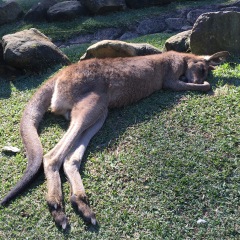 24位のイメージ