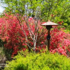 103位のイメージ