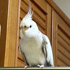 37位のイメージ