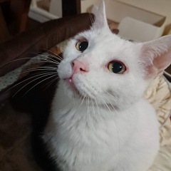 22位のイメージ