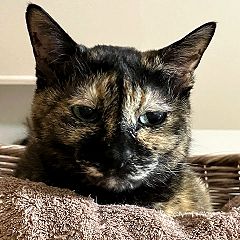 16位のイメージ