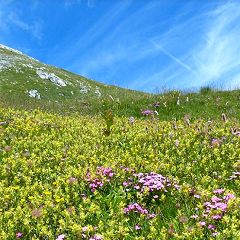 10位のイメージ