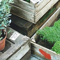 11位のイメージ