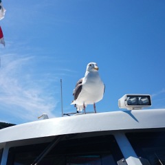 65位のイメージ