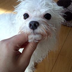 23位のイメージ