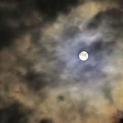 29位のイメージ