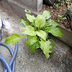 14位のイメージ