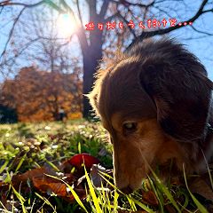 81位のイメージ