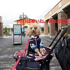 23位のイメージ