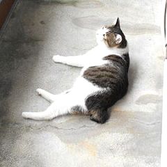 120位のイメージ