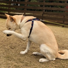 20位のイメージ