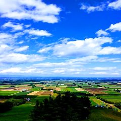 66位のイメージ