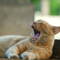 23位のイメージ