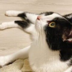 25位のイメージ