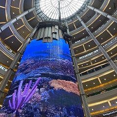 14位のイメージ