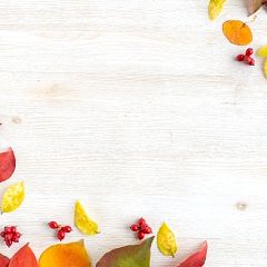 40位のイメージ