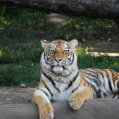 40位のイメージ