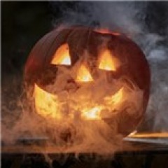 41位のイメージ