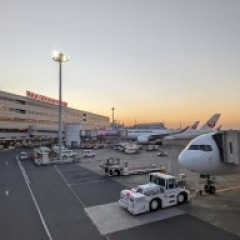 28位のイメージ