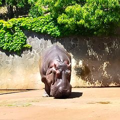 91位のイメージ