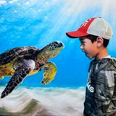 40位のイメージ