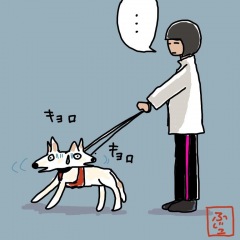 26位のイメージ