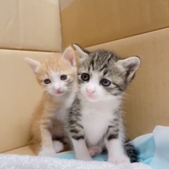 10位のイメージ