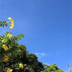 24位のイメージ