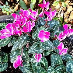 13位のイメージ