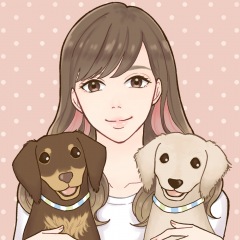 11位のイメージ