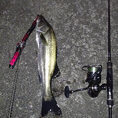 24位のイメージ