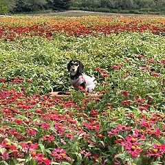 56位のイメージ