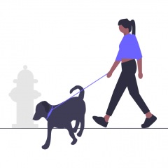 97位のイメージ