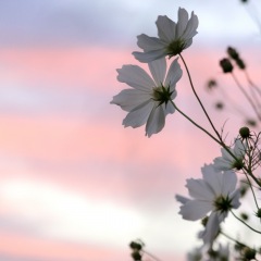 92位のイメージ