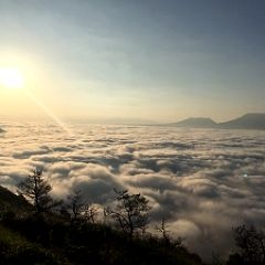 102位のイメージ