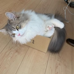 26位のイメージ