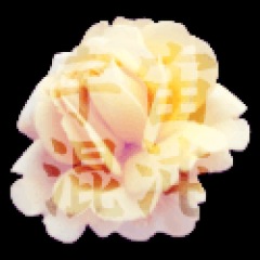 18位のイメージ