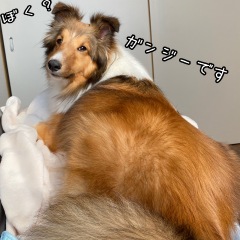 48位のイメージ