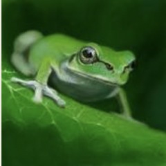 57位のイメージ