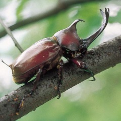 76位のイメージ