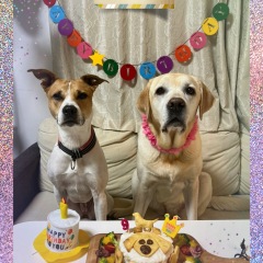 16位のイメージ