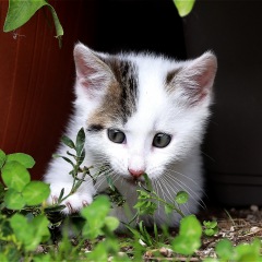 21位のイメージ