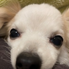 17位のイメージ