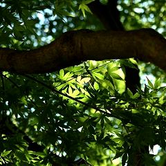 17位のイメージ