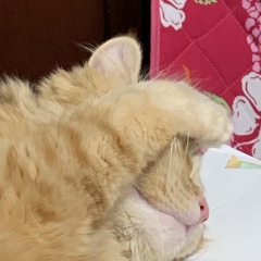 74位のイメージ