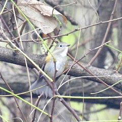 18位のイメージ