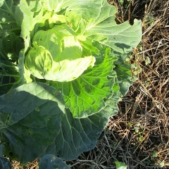 28位のイメージ